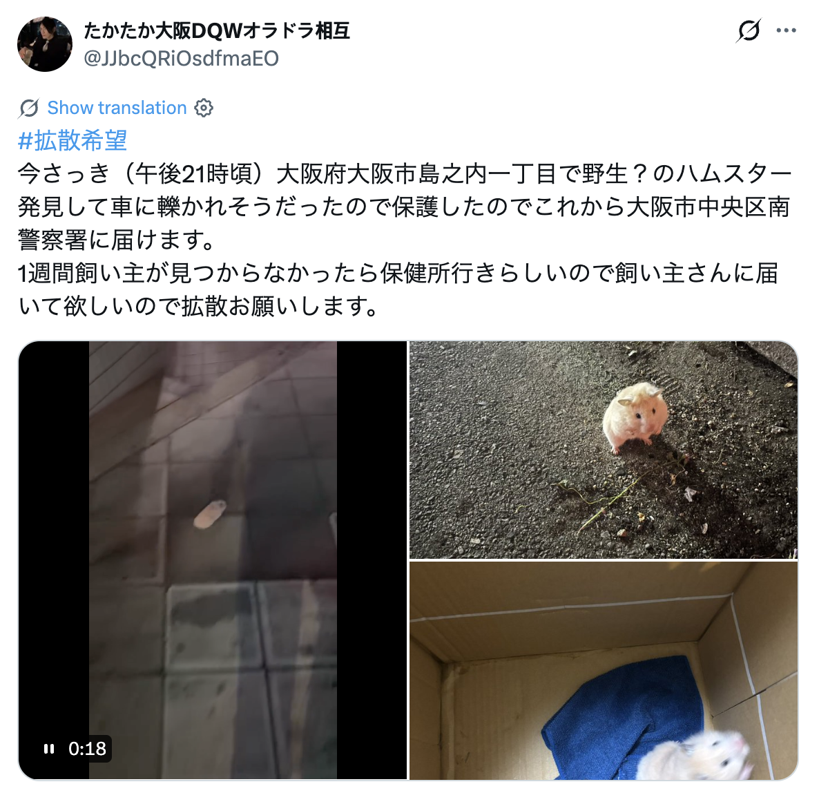 hamster osaka